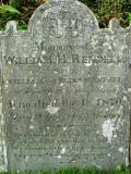 image of grave number 502806